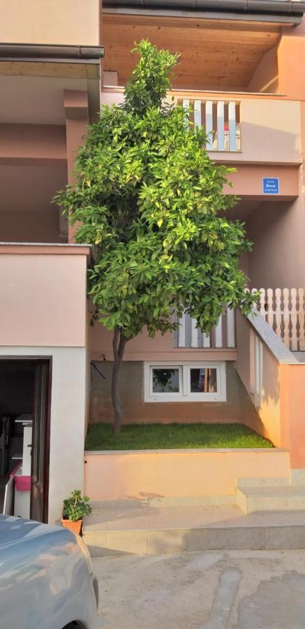 Apartmani Damant ซาดาร์ ห้อง รูปภาพ