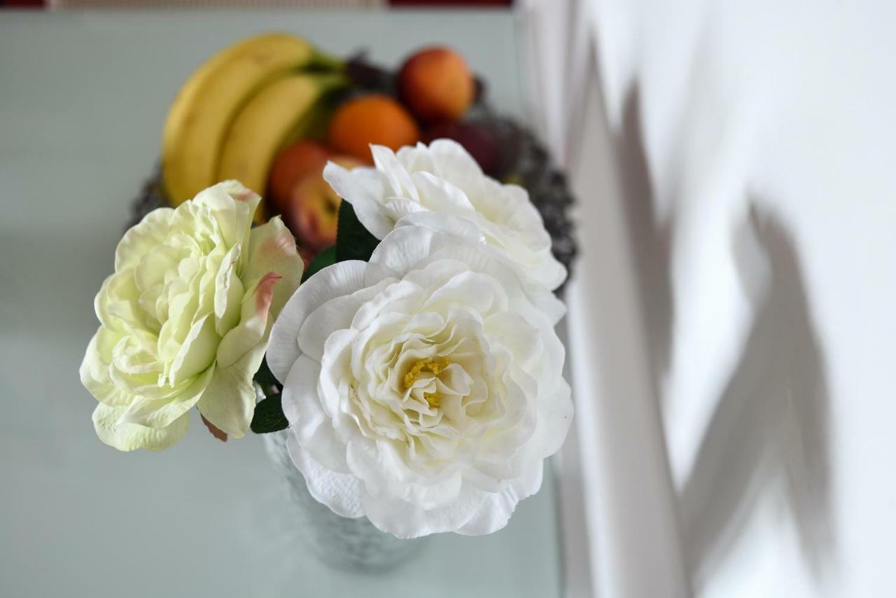 Apartmani Damant ซาดาร์ ภายนอก รูปภาพ